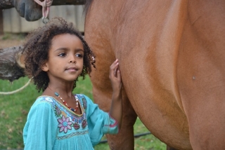 actividades interactivas